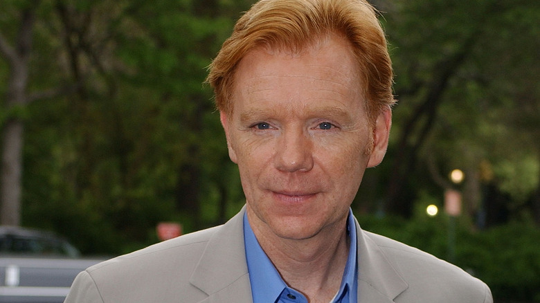 David Caruso in grey suit