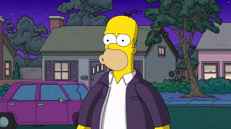 Homer at night