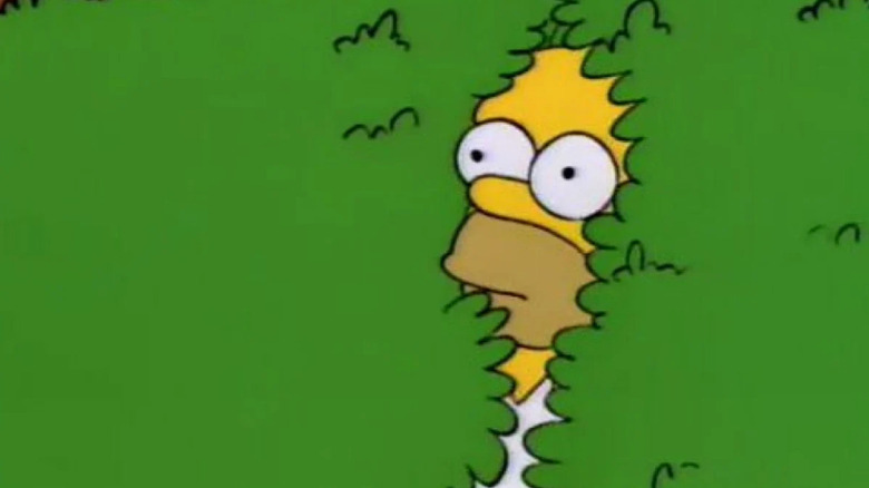 Homer walking backwards into bushes