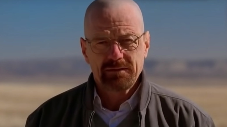 Bryan Cranston as Walter White