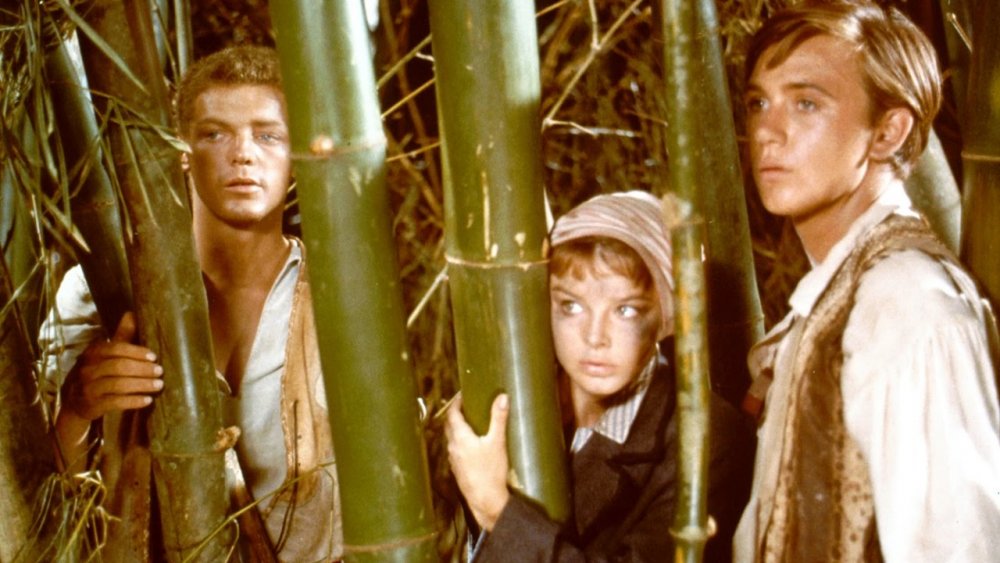 Scene from Swiss Family Robinson