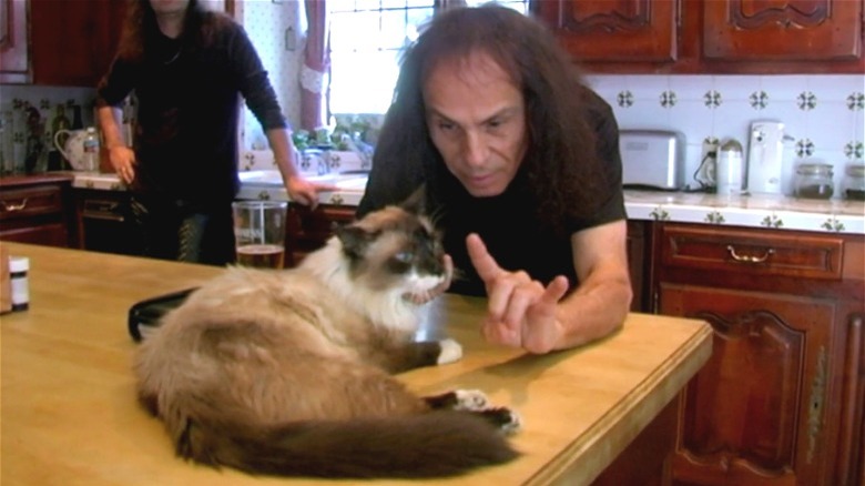 Ronnie James Dio petting cat