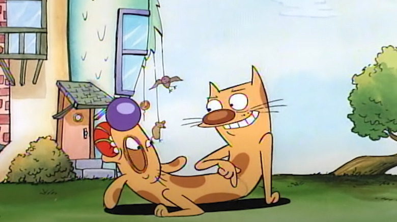 CatDog playing in yard