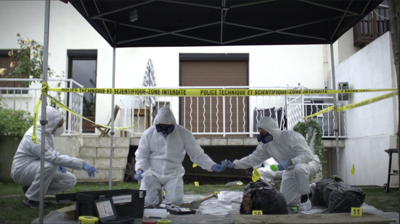 Dupont de Ligonnes family crime scene