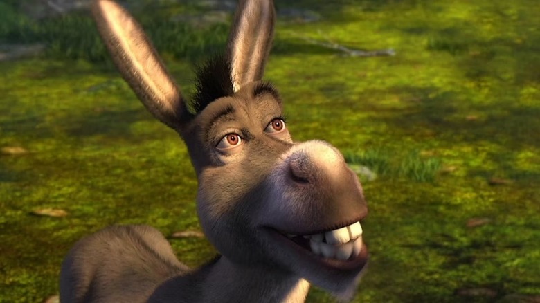 Donkey smiling