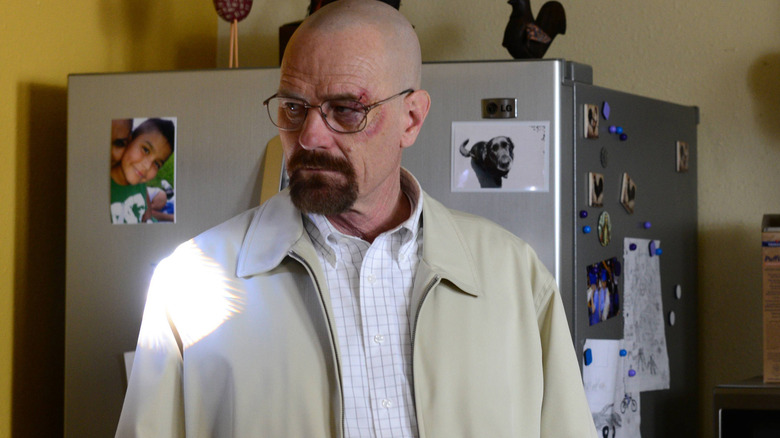 Walt standing by fridge