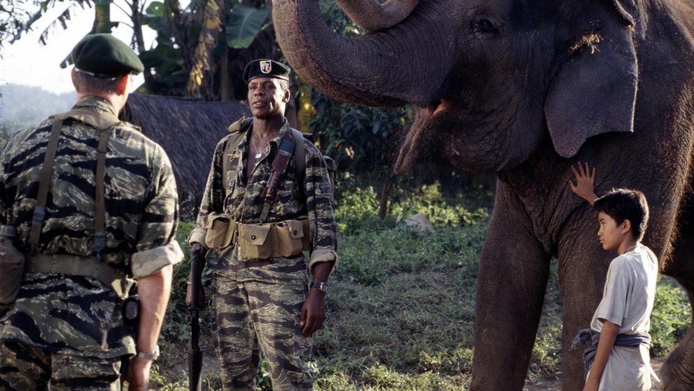 Green Berets find an elephant