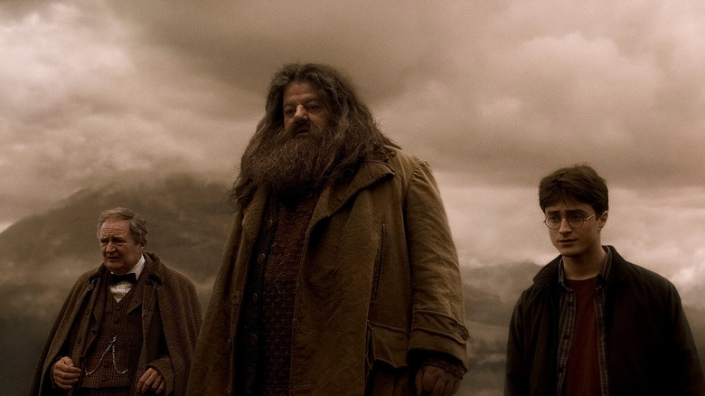 Hagrid Slughorn Harry Aragog funeral