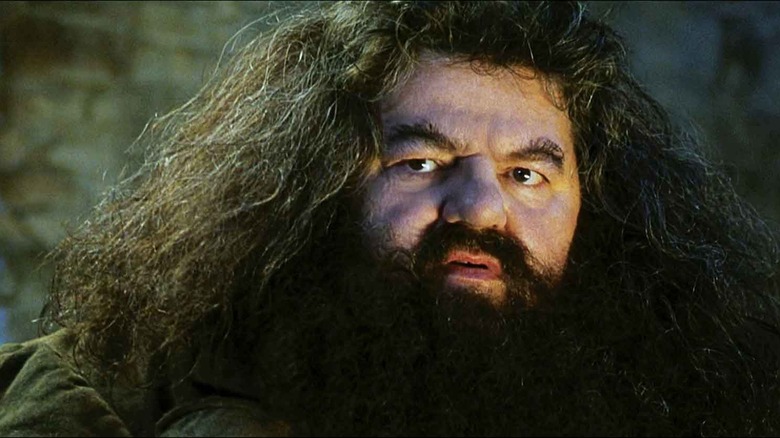 Hagrid staring worried