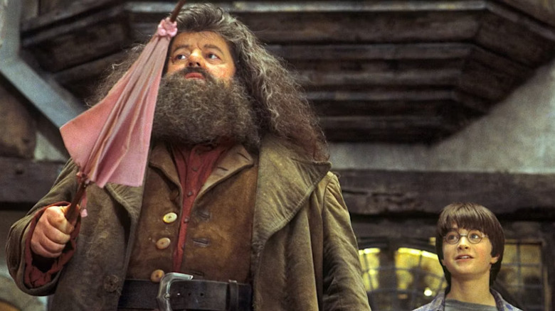 Hagrid pink umbrella and Harry