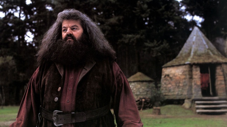 Hagrid looking ahead