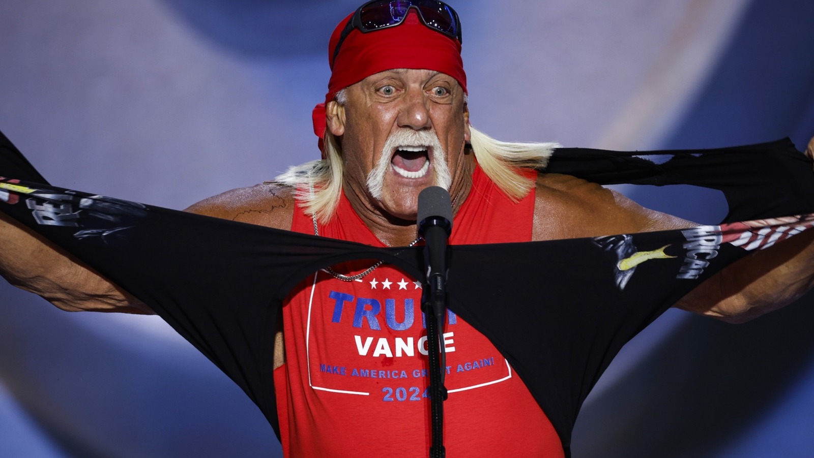 Was Hulk Hogan's Pro-Trump Speech Idiocracy In Real-Life? Terry Crews Responds