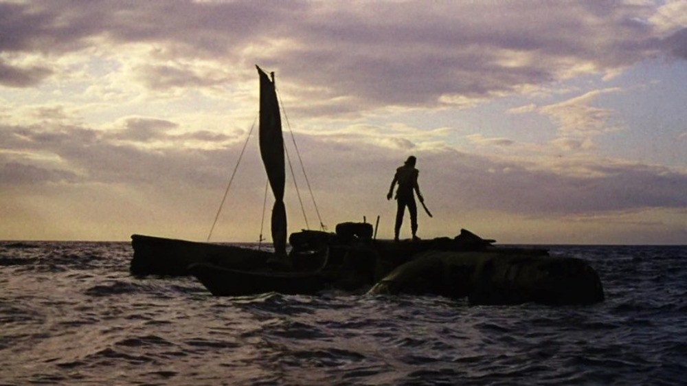 The mariner standing on boat