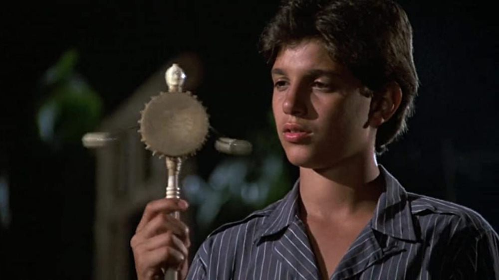 Ralph Macchio as Daniel LaRusso