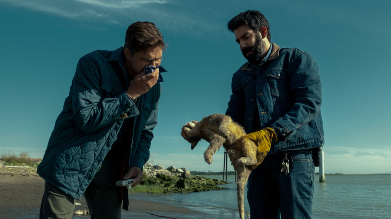 Wade and Hassan inspecting a dead animal