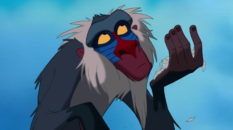 Rafiki holding leaves and pieces of plants while looking up