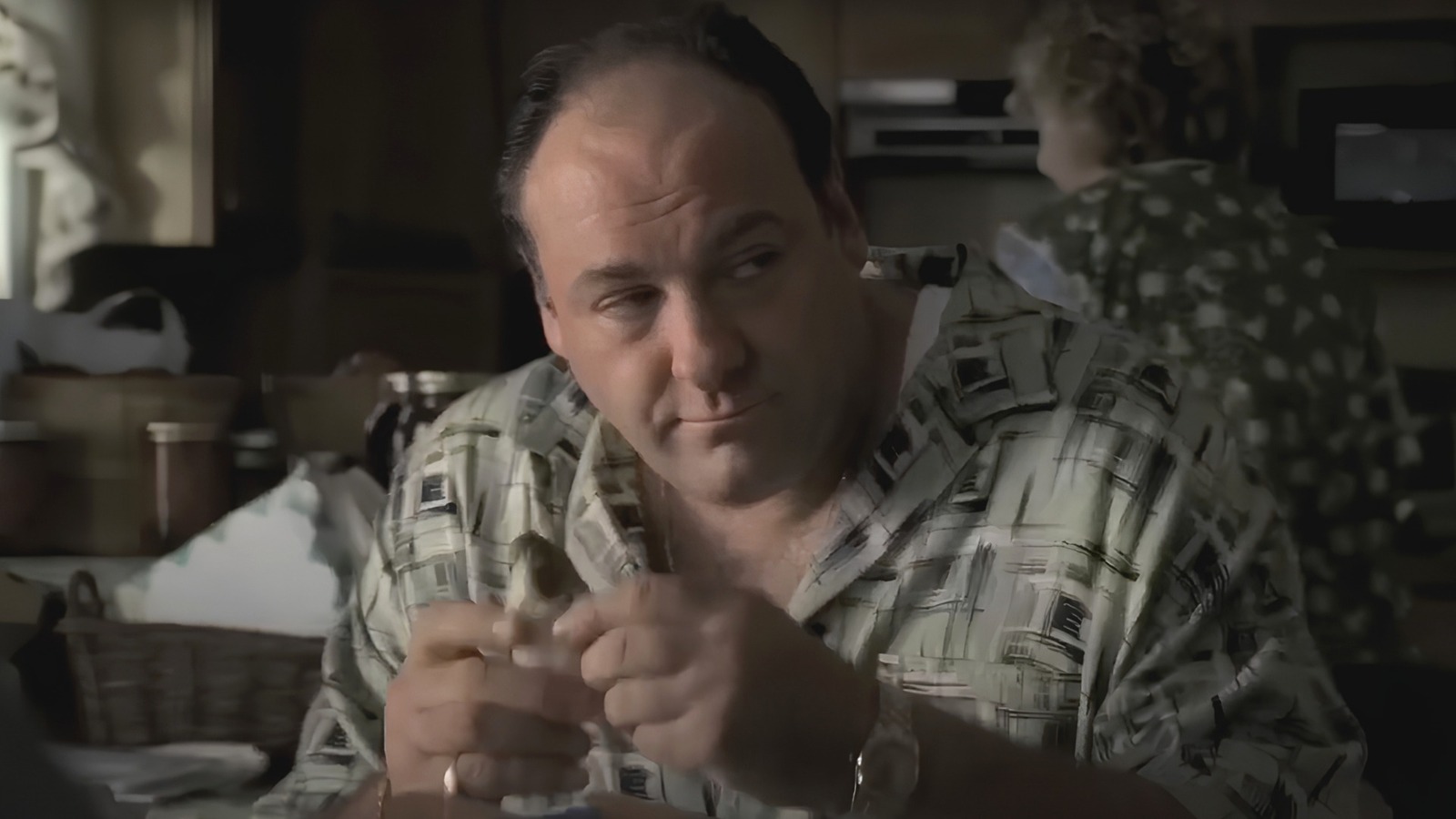 Were The Sopranos Steve Buscemi And James Gandolfini Friends In