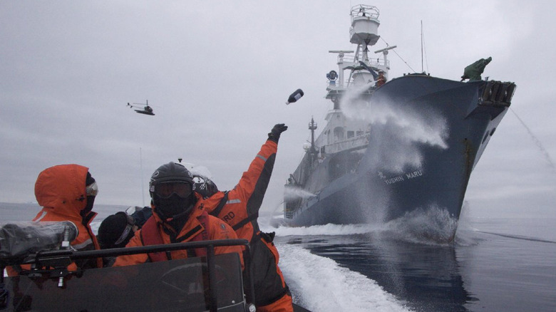 Sea Shepherd crew strike whalers