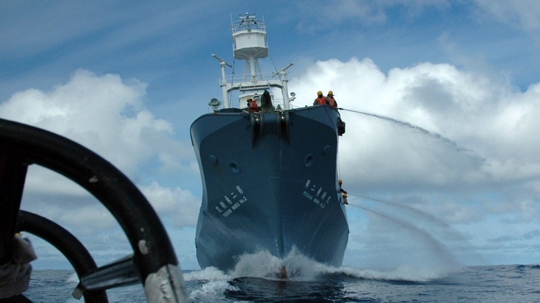 Towering Japanese whaler ship