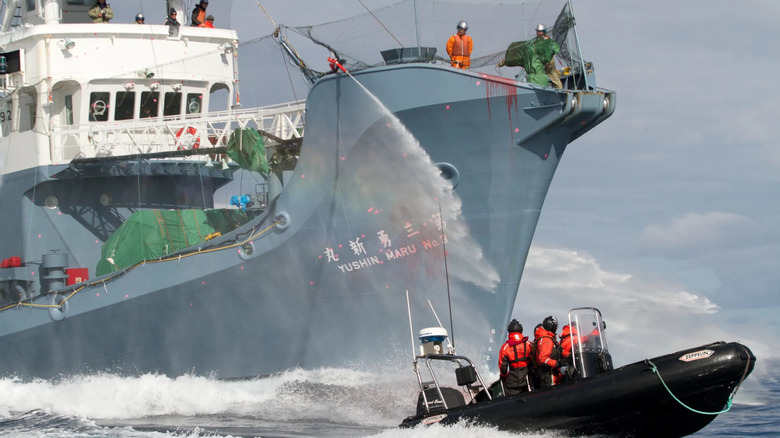 Yushin Maru intimidates activists