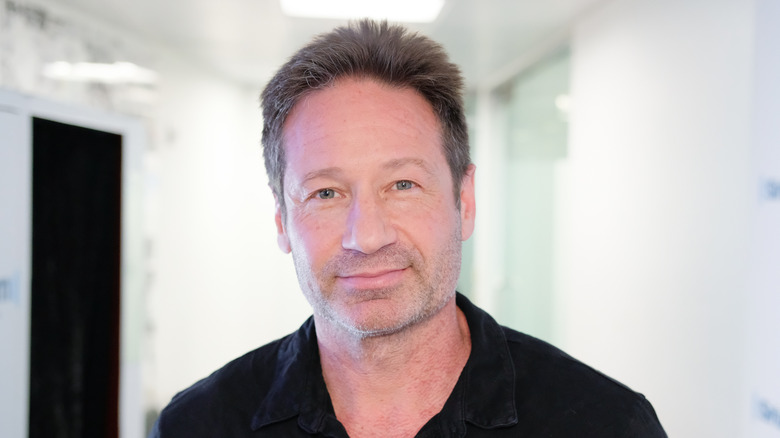 David Duchovny smiling