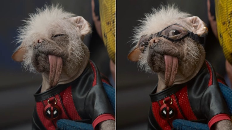 Side-by-side comparison of Peggy as Dogpool from Deadpool & Wolverine before and after CGI