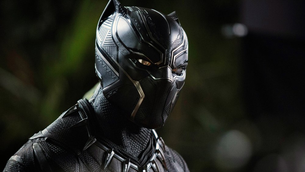 Chadwick Boseman as Black Panther in Black Panther