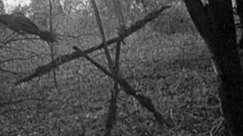 Blair Witch's stick figure is in the woods