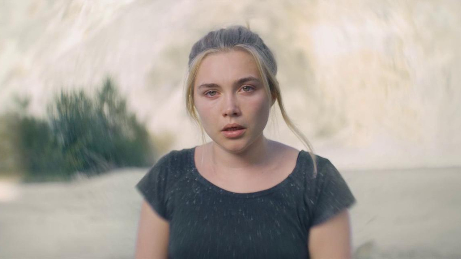 What Florence Pugh Thinks Happened To Dani After Midsommar's Disturbing