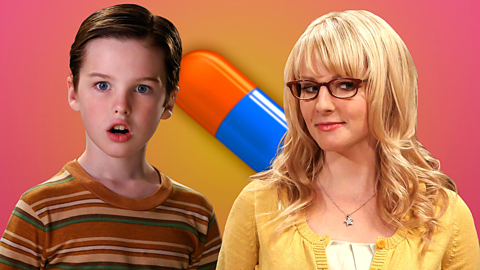 What Happened To Bernadette After Big Bang Theory?