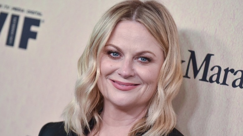 Amy Poehler smiling