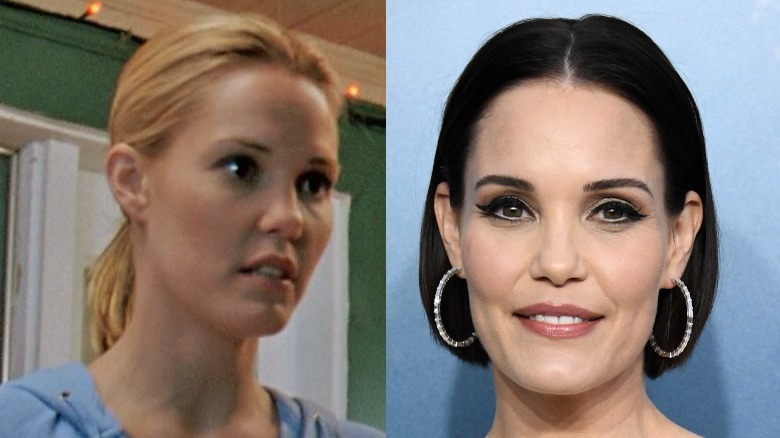 Leslie Bibb then and now