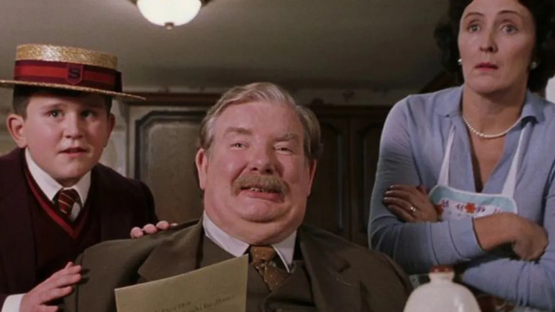 What Happened To The Dursleys After The End Of Harry Potter