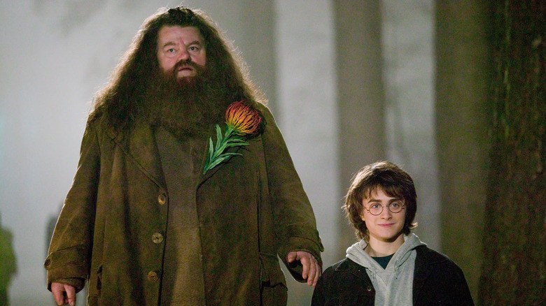 Hagrid and Harry in the woods in the Goblet of Fire