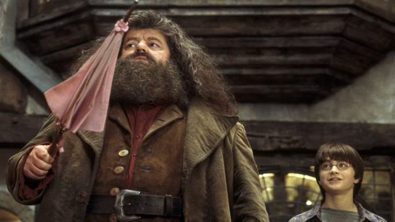 Hagrid holding pink umbrella with Harry behind him