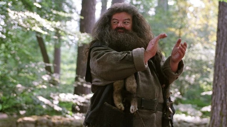 Hagrid clapping hands in Harry Potter