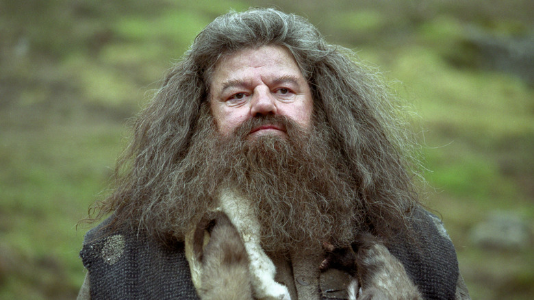 Hagrid looking straight ahead in Harry Potter