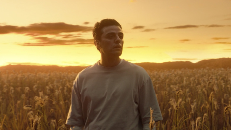 Marc stands in Field of Reeds