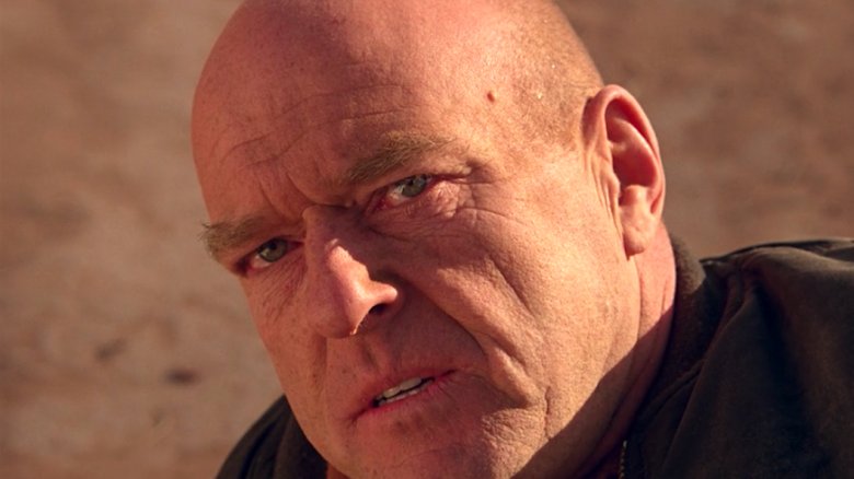 Dean Norris in Breaking Bad