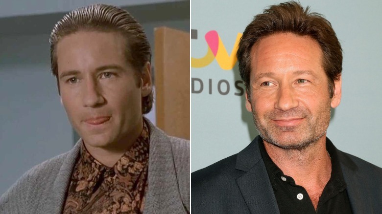 David Duchovny then and now