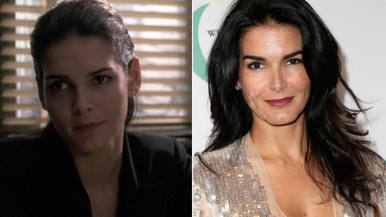 Angie Harmon Law and Order then and now