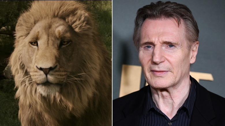 Aslan and Liam Neeson