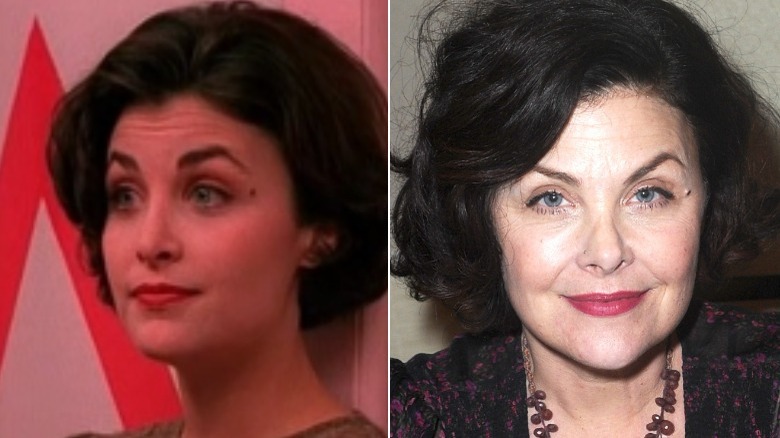 Sherilyn Fenn then and now