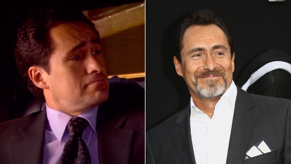 Damien Bichir