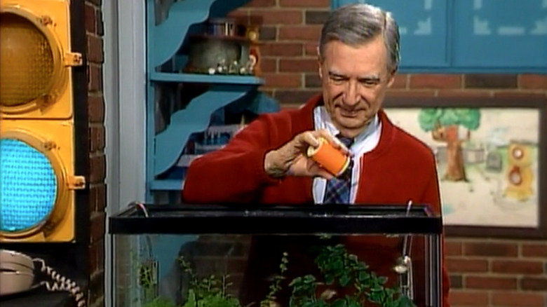 Mister Rogers feeds his fish