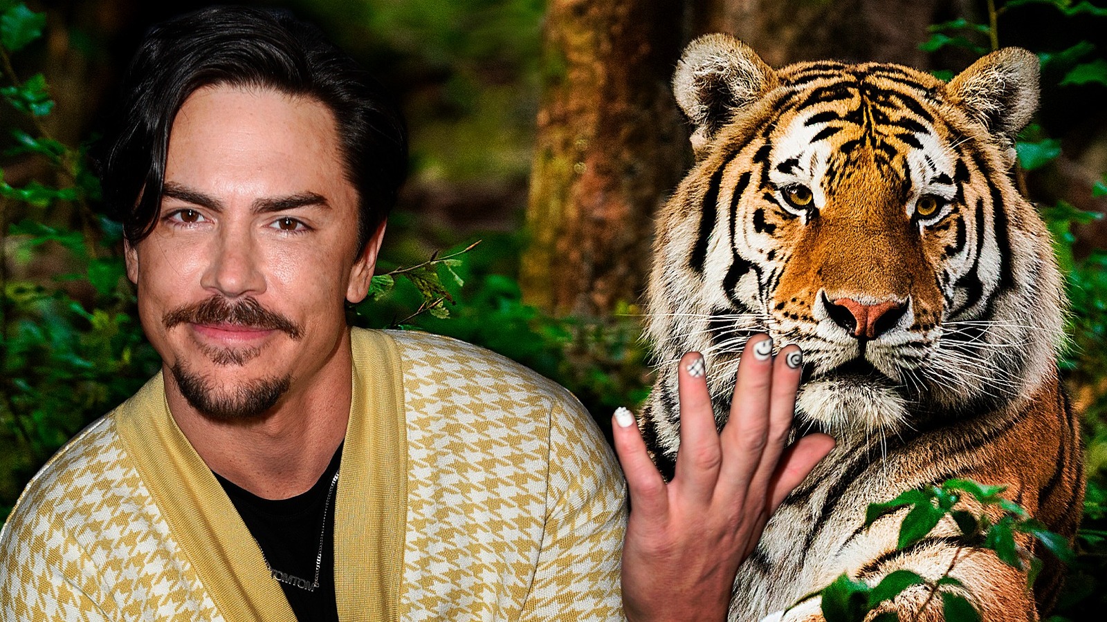 Do not support': Lala Kent slams Tom Sandoval over 'animal cruelty' as 'Vanderpump  Rules' star poses with captive tiger - MEAWW