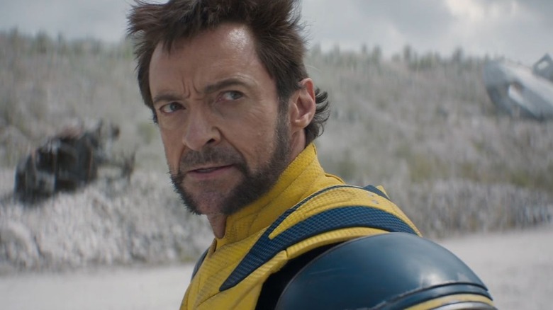 Wolverine in classic costume