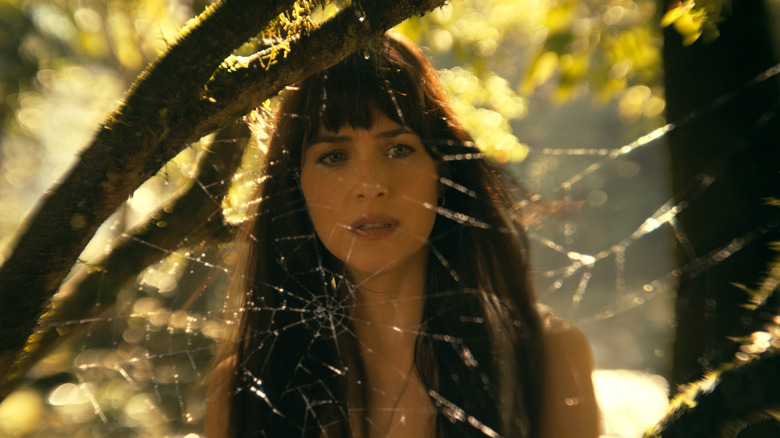 Cassandra Webb behind spiderweb