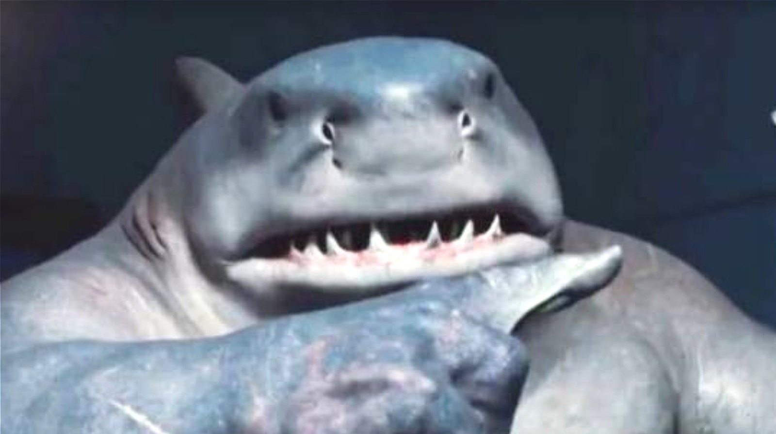 What Were The Sea Creatures That Attacked King Shark In The Suicide Squad?