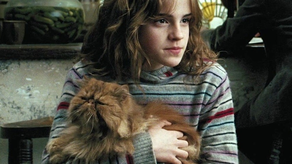 Hermione Granger holding cat